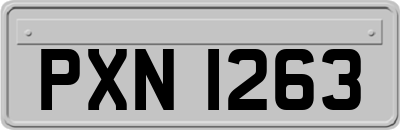 PXN1263