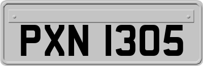 PXN1305