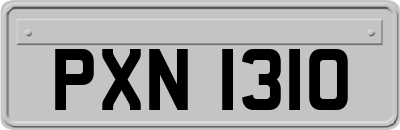 PXN1310