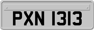 PXN1313