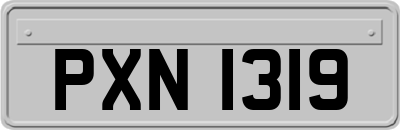 PXN1319