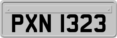 PXN1323