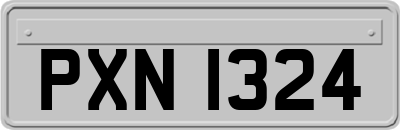 PXN1324