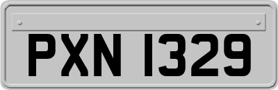 PXN1329