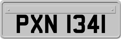 PXN1341