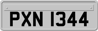 PXN1344