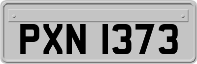 PXN1373