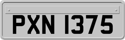 PXN1375