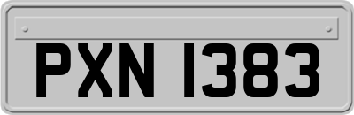 PXN1383