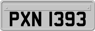 PXN1393