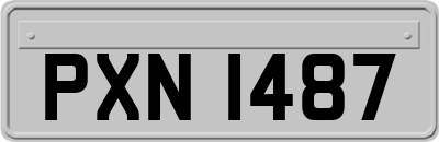 PXN1487