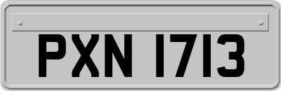 PXN1713