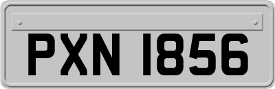 PXN1856