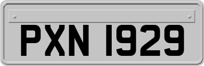 PXN1929