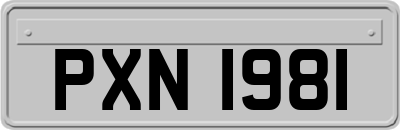 PXN1981