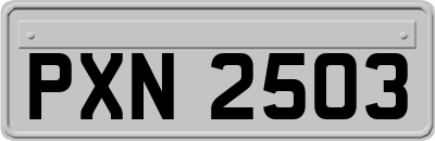 PXN2503