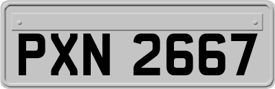 PXN2667