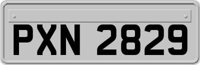 PXN2829