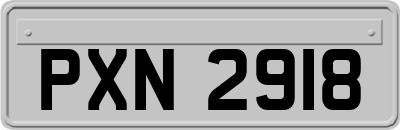 PXN2918