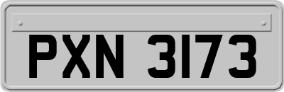 PXN3173