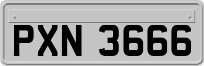 PXN3666