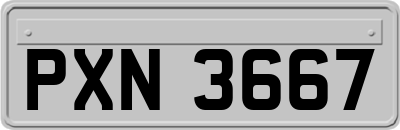 PXN3667