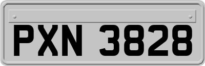 PXN3828