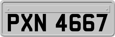 PXN4667