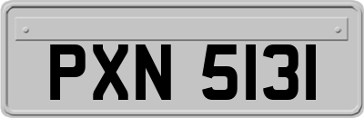 PXN5131