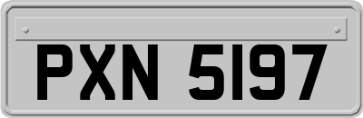 PXN5197