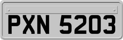 PXN5203