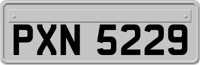 PXN5229