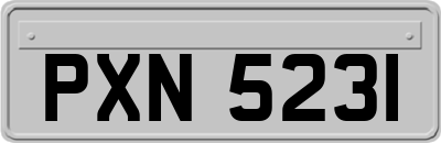 PXN5231