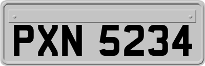 PXN5234