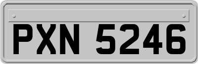 PXN5246