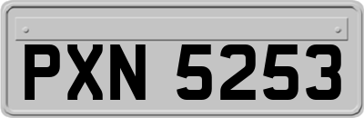 PXN5253