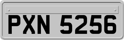 PXN5256