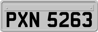 PXN5263