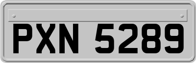 PXN5289