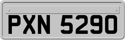 PXN5290