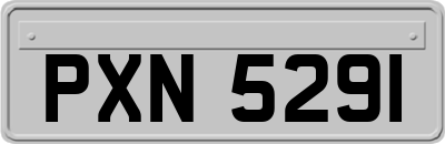 PXN5291