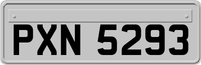 PXN5293