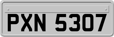 PXN5307