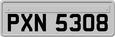 PXN5308