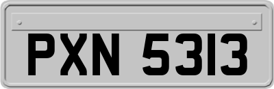 PXN5313