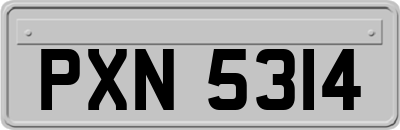 PXN5314