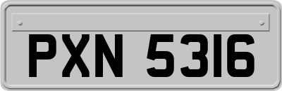 PXN5316