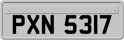 PXN5317