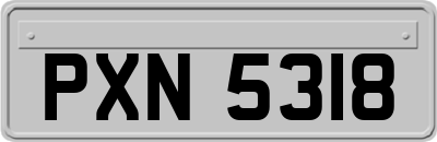 PXN5318