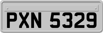 PXN5329